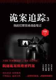 诡案追缉小说