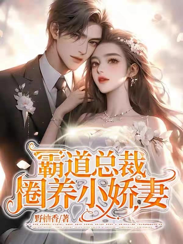 霸道总裁的小娇妻动漫