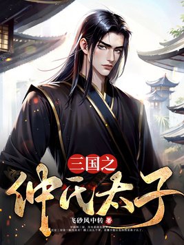 三国之仲氏太子TXT下载